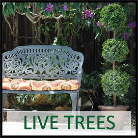 Live Trees